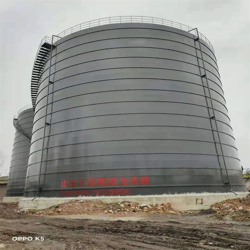 新兴3万吨大型钢板库